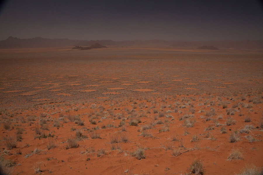 What is causing Namibia's mysterious fairy circles? 
