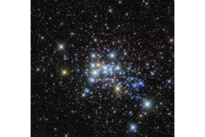 1031667_1_0314-westerlund-1-26