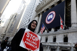 Canada goose shop ipo presentation