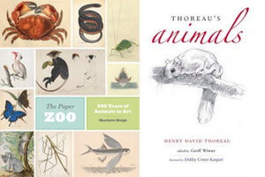 book unlikely animals