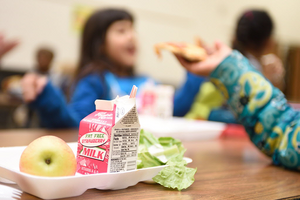 https://images.csmonitor.com/csm/2017/04/1036363_1_42017-school-lunch_standard.png?alias=standard_300x200