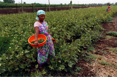 Sweeping Free Trade Deal Poised To Benefit Companies At The Expense Of Small Scale Farmers Csmonitor Com