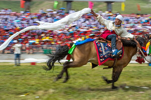 Horse Riding Festival In Eastern Tibet Postcard 