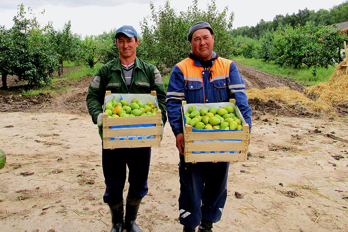 Рынок совхоз. Рынок совхоз