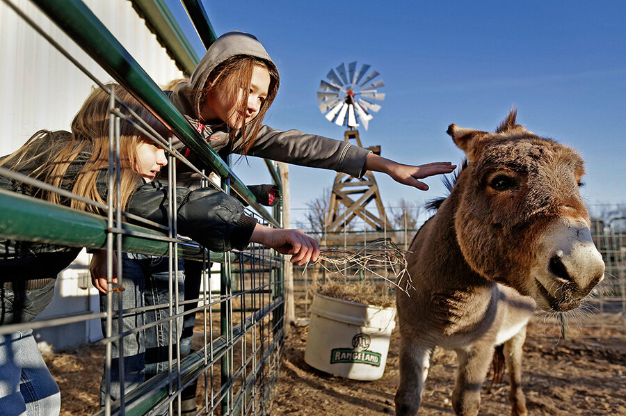 Out of options, rural communities turn to charters to keep schooling