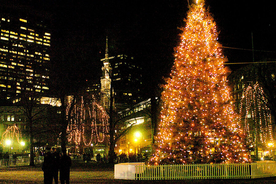 In Boston, A Christmas Tree Symbolizes A Cross-border Friendship In Boston, a Christmas tree symbolizes a cross-border friendship - In Boston, A Christmas Tree Symbolizes A Cross-border Friendship