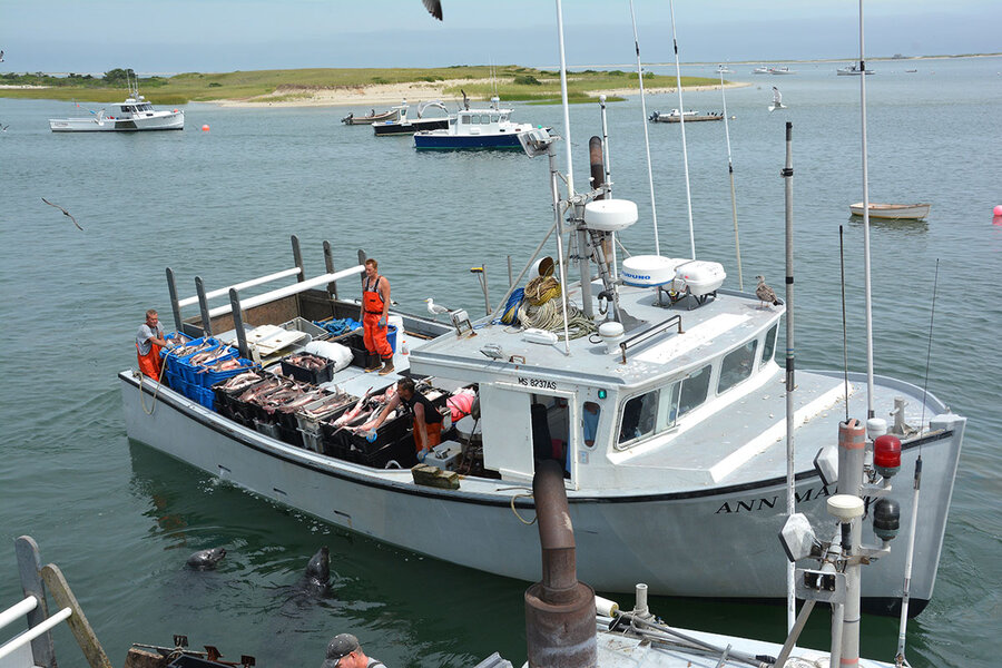 Fishing vessels commonly used by commercial fishers on the Great