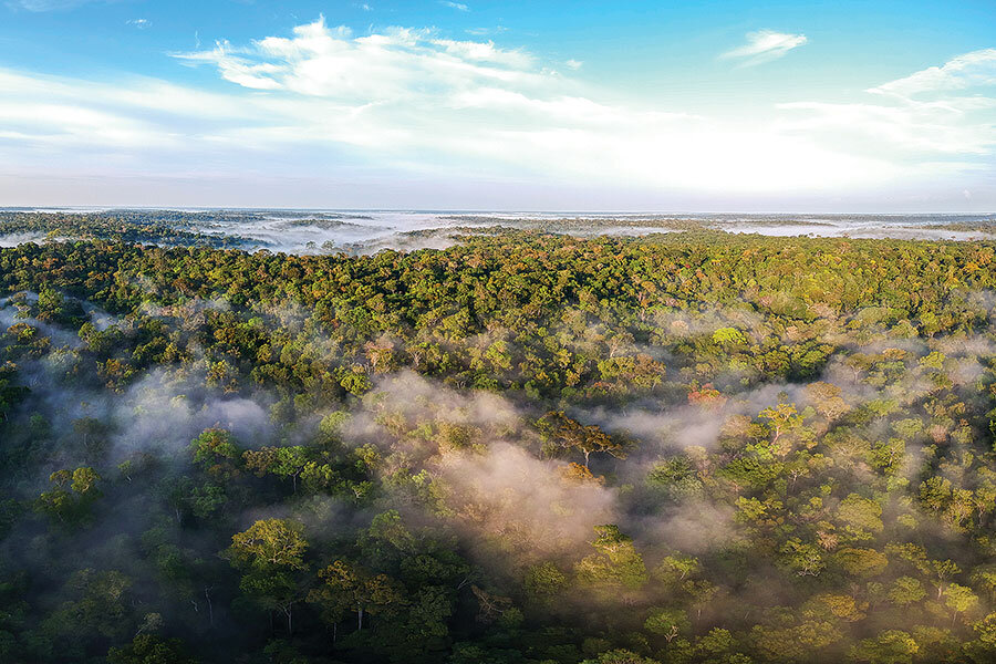 Camp Amazon Inside The Lungs Of The Earth Csmonitor Com