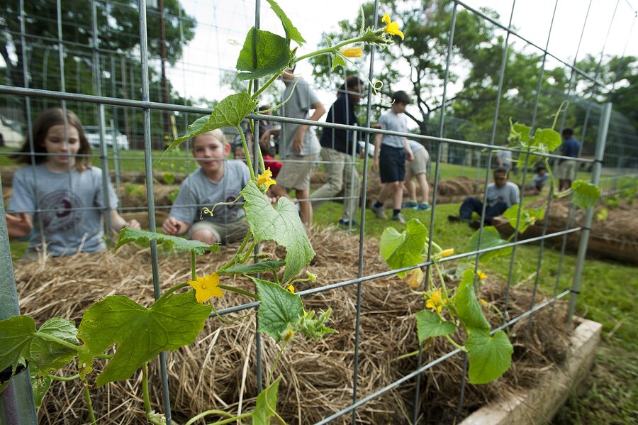 With land to spare, US churches turn to farming - CSMonitor.com
