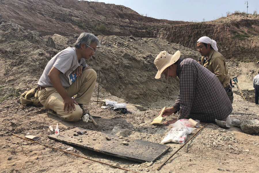 In China, newly discovered dinosaur bones rewrite history