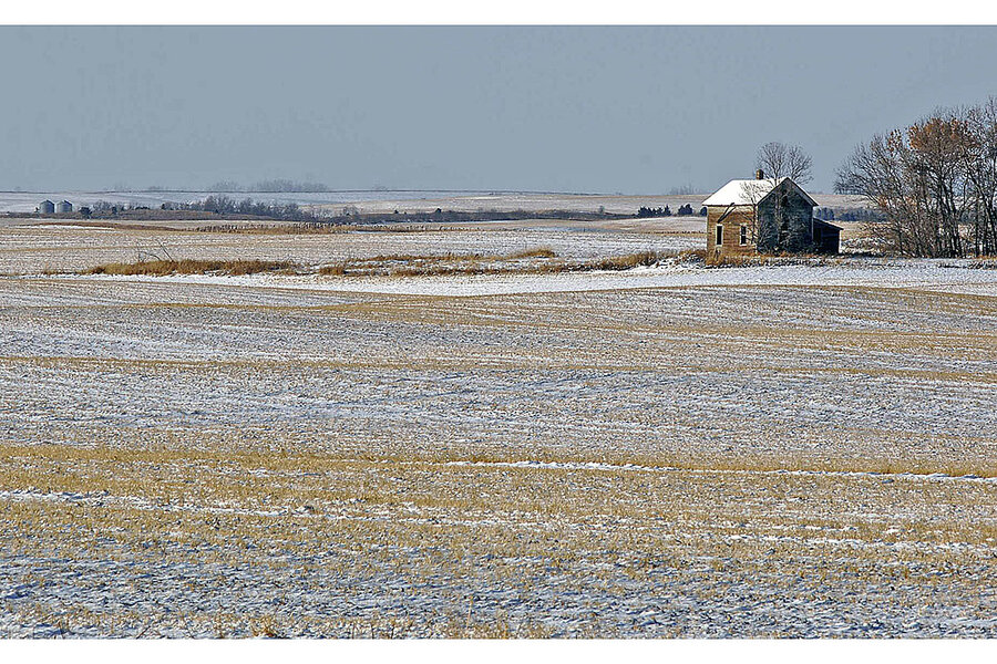 Facing soil crisis, US farmers look beyond corn and soybeans thumbnail