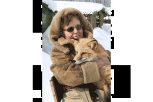 owning a foxin iowa owning a foxin iowa