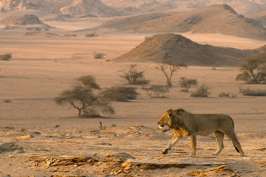 In 'Our Planet', Netflix mixes natural splendor with climate concerns - In 'Our Planet', Netflix mixes natural splendor with climate concerns -