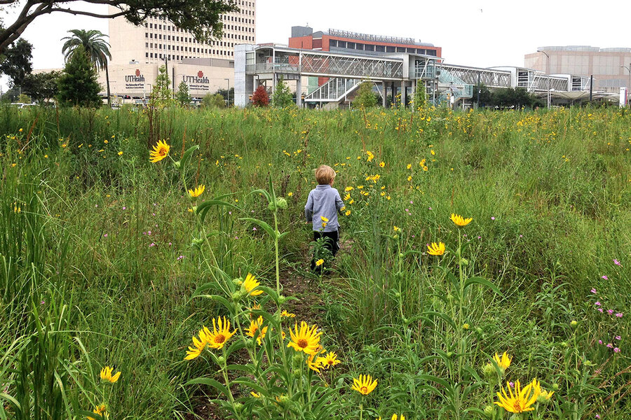 Houston S Pocket Prairies Natural Solutions To Unnatural Flooding Csmonitor Com