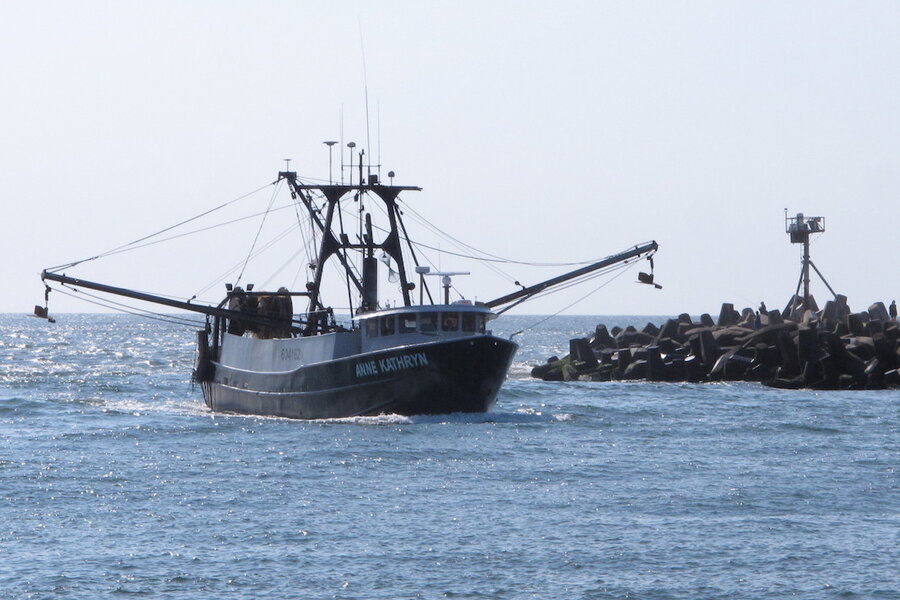 Can Jersey Shore's fishing industry coexist with wind farms? - WHYY