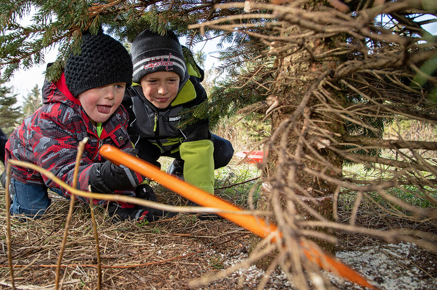 Why millenials are reviving tradition of cutting down Christmas trees