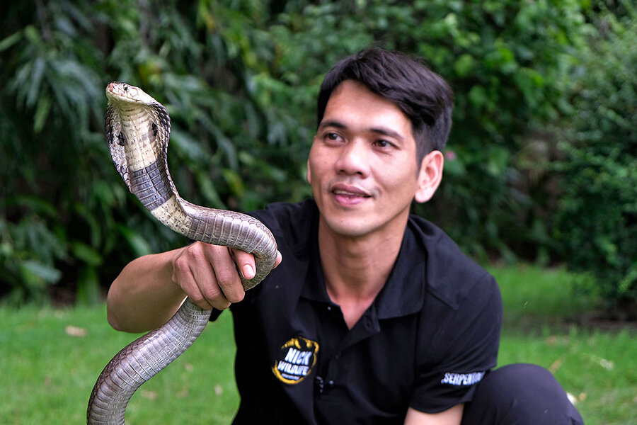 Thailand S Steve Irwin Wants To Make Snakes Less Scary Csmonitor Com