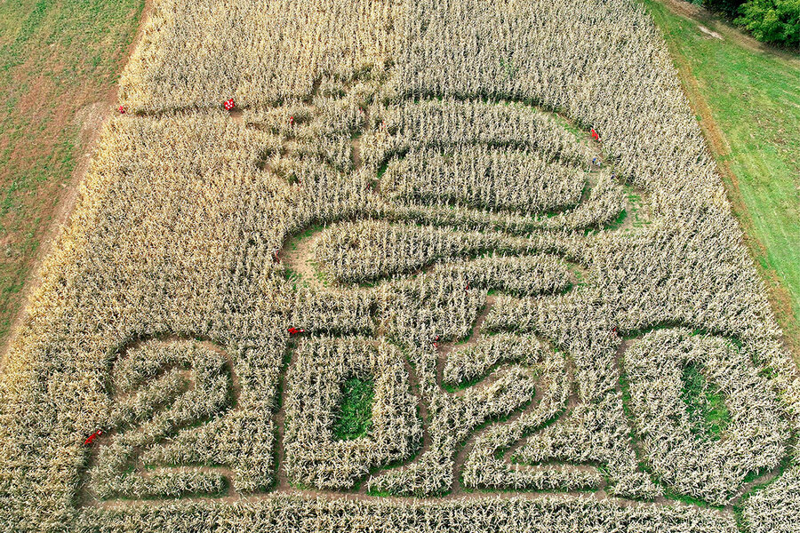 From home offices to space exploration, some 2020 trends were positive