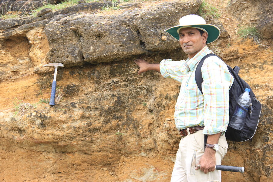 India's dinosaur fossil heritage is vast. It's also under threat. -  