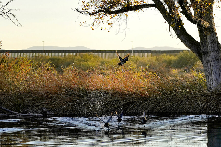 Border Patrol admits it's responsible for open floodgates in