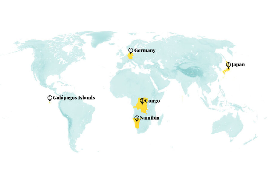 Points of Progress: Seabirds take off in Namibia, and more
