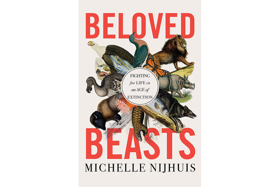 beloved beasts book review