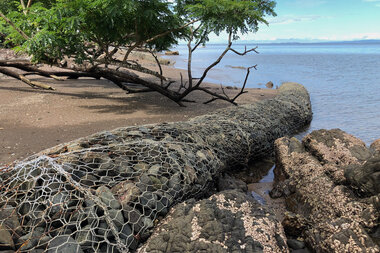 How rising sea-levels could hamper Pacific nations' fishing rights - Vimarsana News