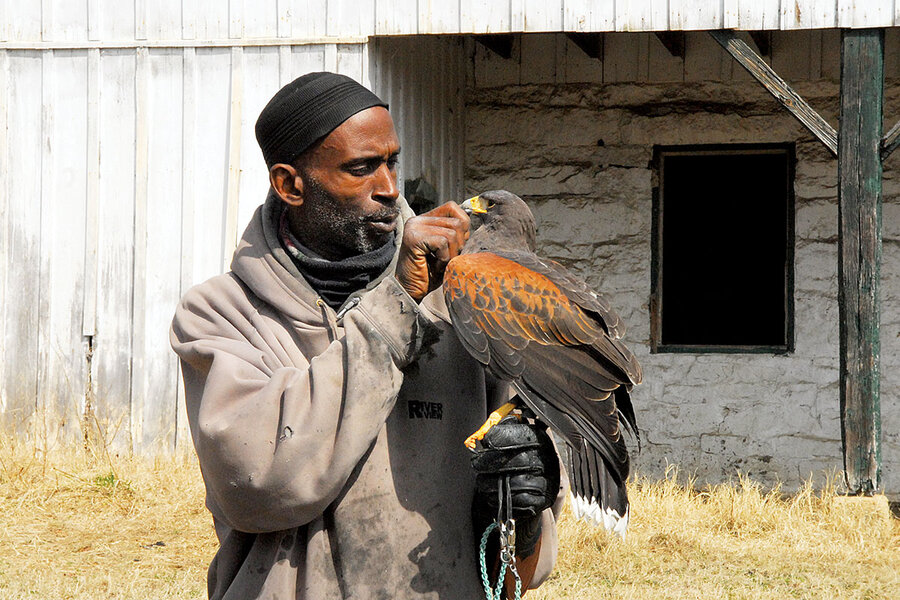 Birds of Prey, Science Trek