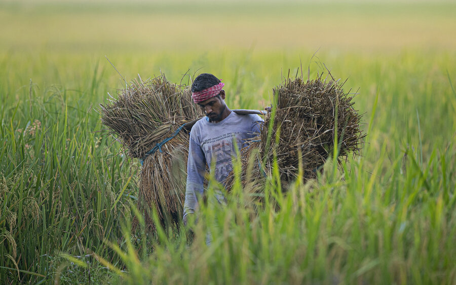 Why the world needs another food summit - CSMonitor.com