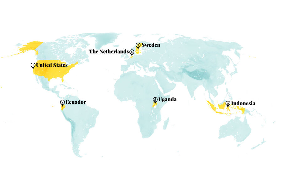 Counting bees, growing trees: How people&rsquo;s efforts build back environments