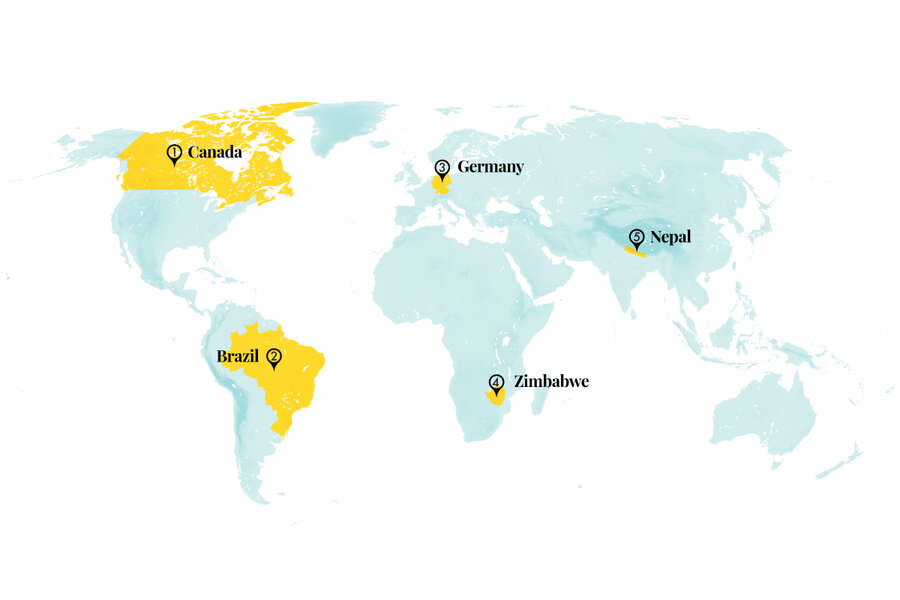 Everything in its place: From stolen art to endangered monkeys Everything in its place: From stolen art to endangered monkeys