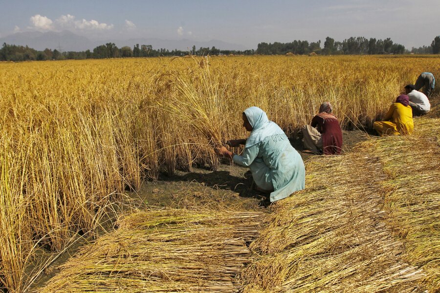 indian agriculture tools