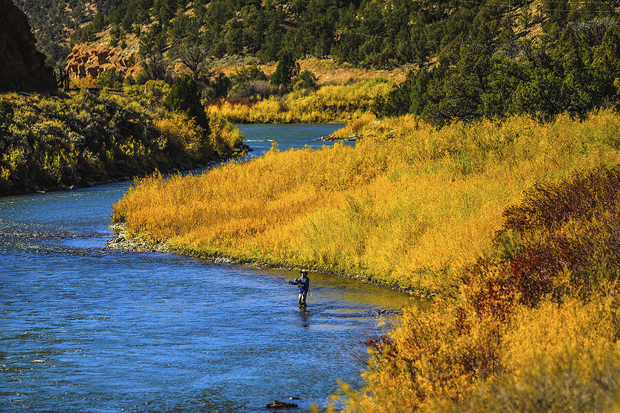 Fly Fishing Montana--John Holt