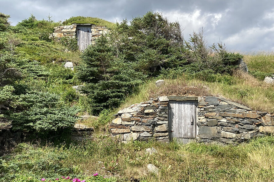 Amid food pressures, Newfoundland sees a root cellar renaissance