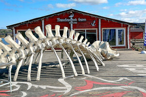 Russian Arctic is losing people. Will free land bring them back