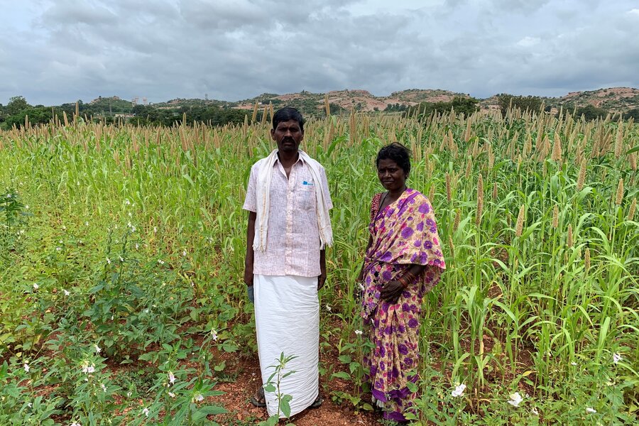 Indian farmers learn how to revive soil contaminated by mines
