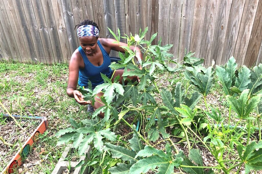 One victory over the pandemic: Community gardens