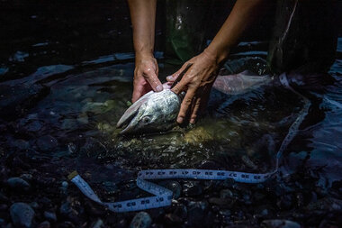 Dam removal: What's at stake in freeing the Klamath River - Vimarsana News