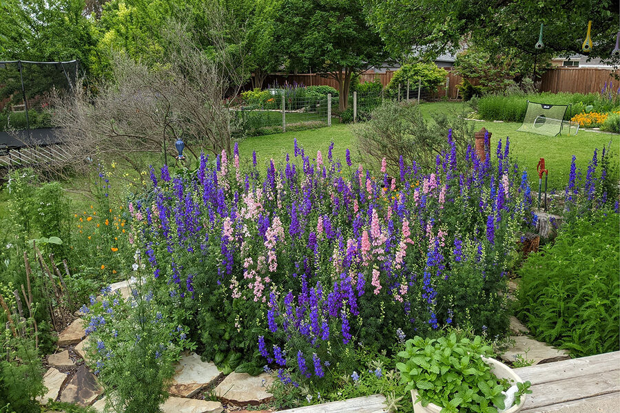 https://images.csmonitor.com/csm/2021/11/1111%20TEXAS_WATER_STORAGE%20garden.jpg?alias=standard_900x600