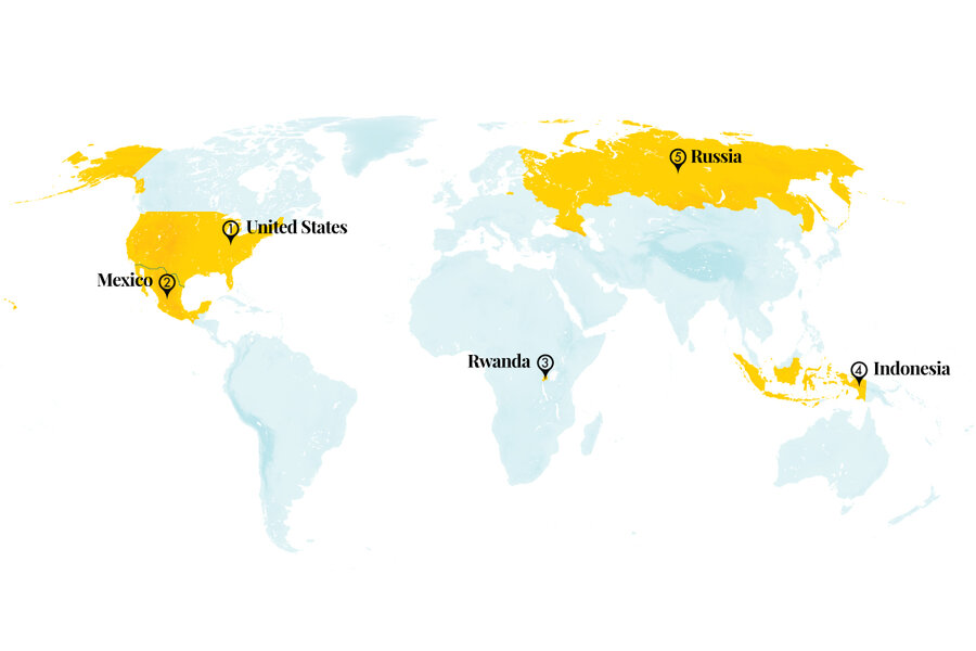 Amid species loss, the &lsquo;oh my&rsquo; mammals that are doing better