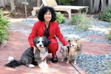 Animal rights revolutionary weaves a creature safety net, law by law - Vimarsana News
