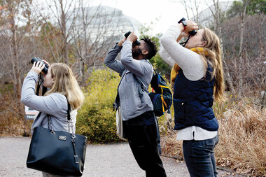 Birding walks on Capitol Hill draw a bipartisan congressional flock - Vimarsana News
