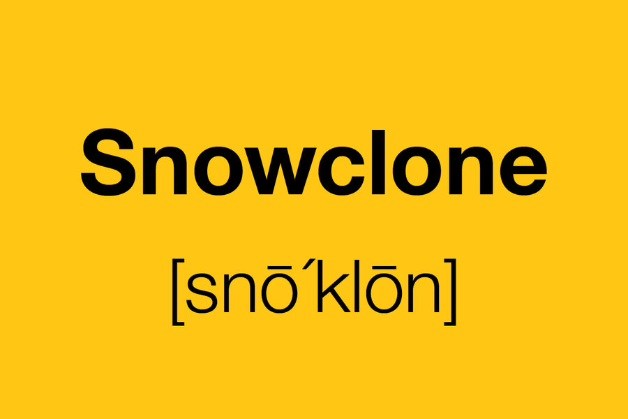 what-s-a-snowclone-you-ve-probably-seen-one-before-csmonitor