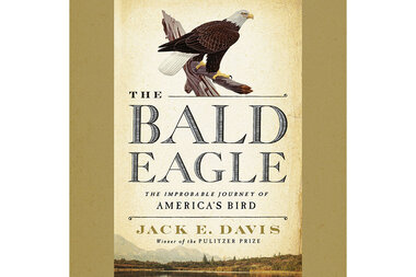 How Did the Bald Eagle Become America's National Bird?