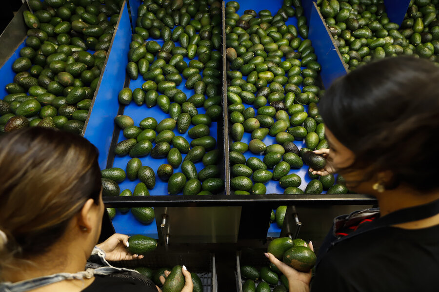 Is your guacamole at risk? Mexican avocado ban may curb supply.