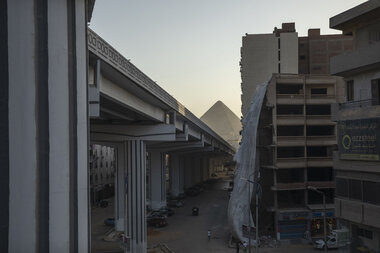 They speak for the trees: Cairo residents fight for green space - Vimarsana News