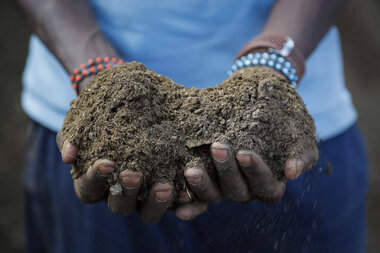 As fertilizer from Russia dwindles, farmers search for solutions - Vimarsana News