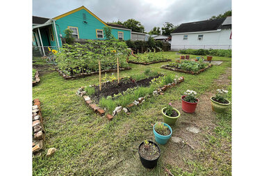 Garden community: How converting a vacant lot helped me put down roots - Vimarsana News
