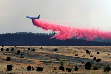 As New Mexico battles wildfires, Biden deploys disaster aid - Vimarsana News