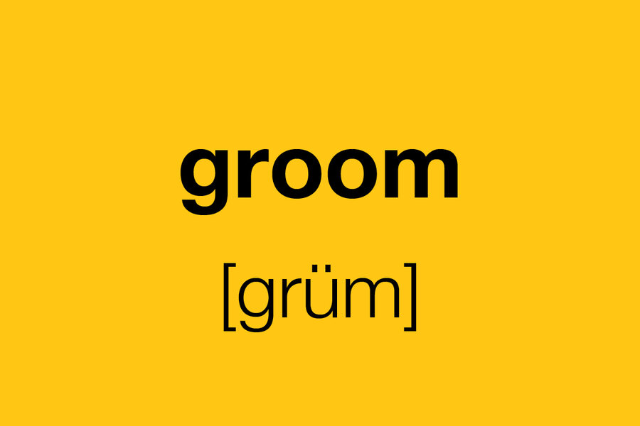 grooming-meaning-in-hindi-grooming-ka-matlab-kya-hota-hai-word